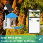 1080P HD WiFi Smart Bird Feeder with Camera gallery 03