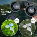 10x42 HD Binoculars Professional BaK4 Roof Prism Telescope gallery 02