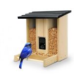 10X7X10 Inch Solar-Powered Bird Feeder with Camera, Suitable gallery 05