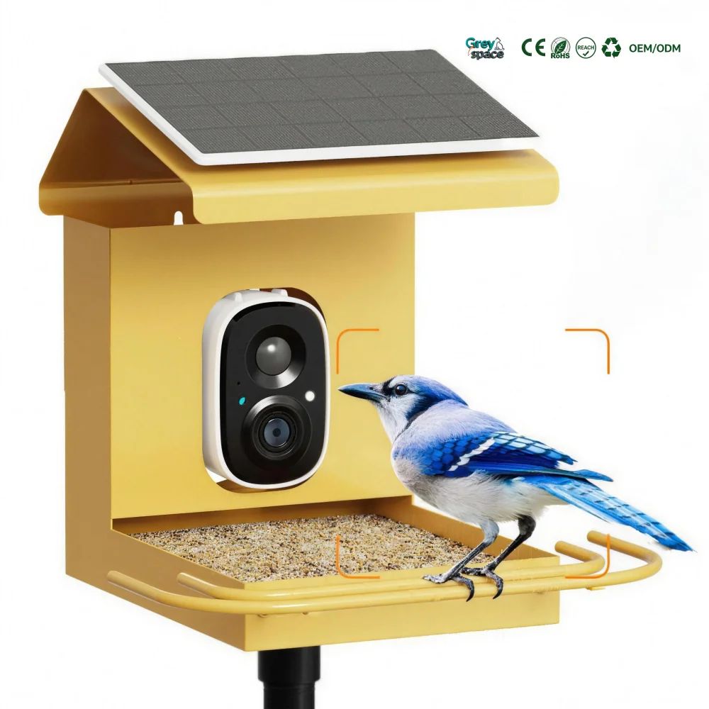10x7x10-inch-solar-powered-bird-feeder-with-camera-suitabl-p40971-main-minmaxoutdoors 10X7X10 Inch Solar-Powered Bird Feeder with Camera, Suitable main
