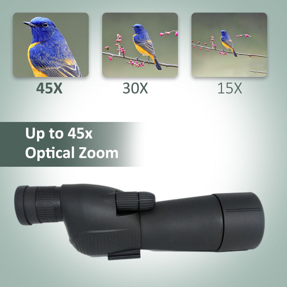 15-45X60 20-60X60 Straight Spotting Scope for Target product detail 5