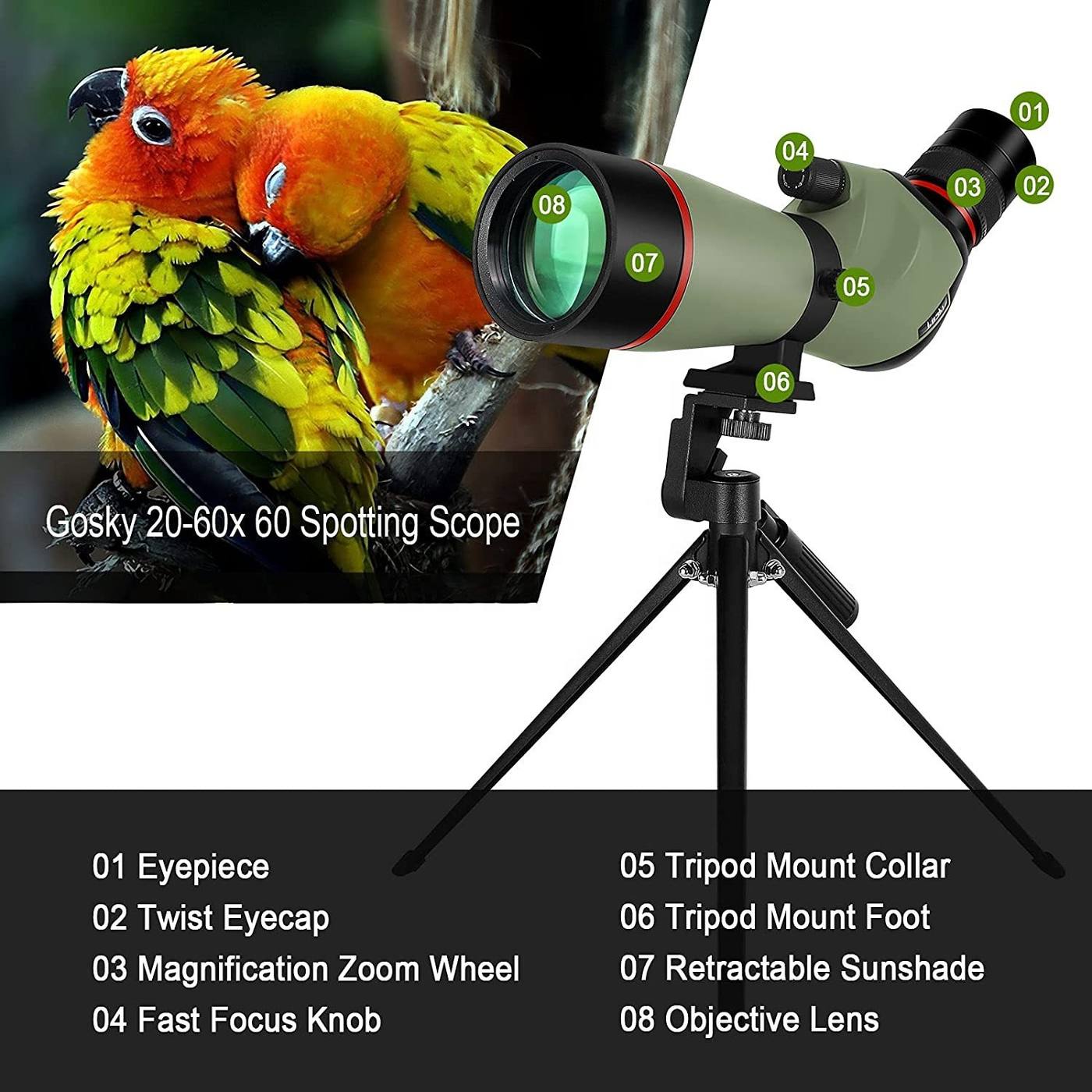 20-60x100 Bird Watching Spotting Scope for Outdoor product detail 2