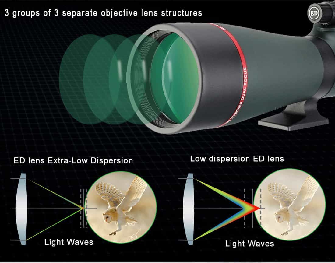 20-60X80 ED Spotting Scope for Phone Birding Photography product detail 6