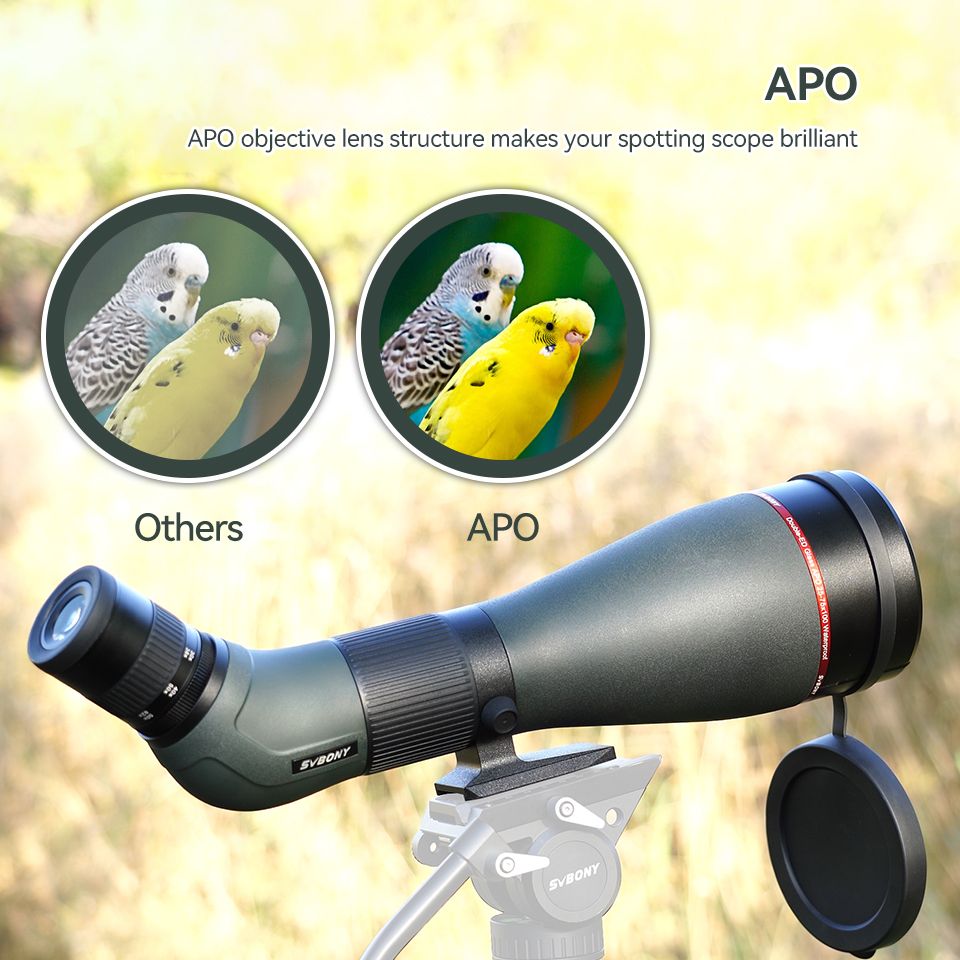 20-60X80 ED Spotting Scope for Phone Birding Photography product detail 17