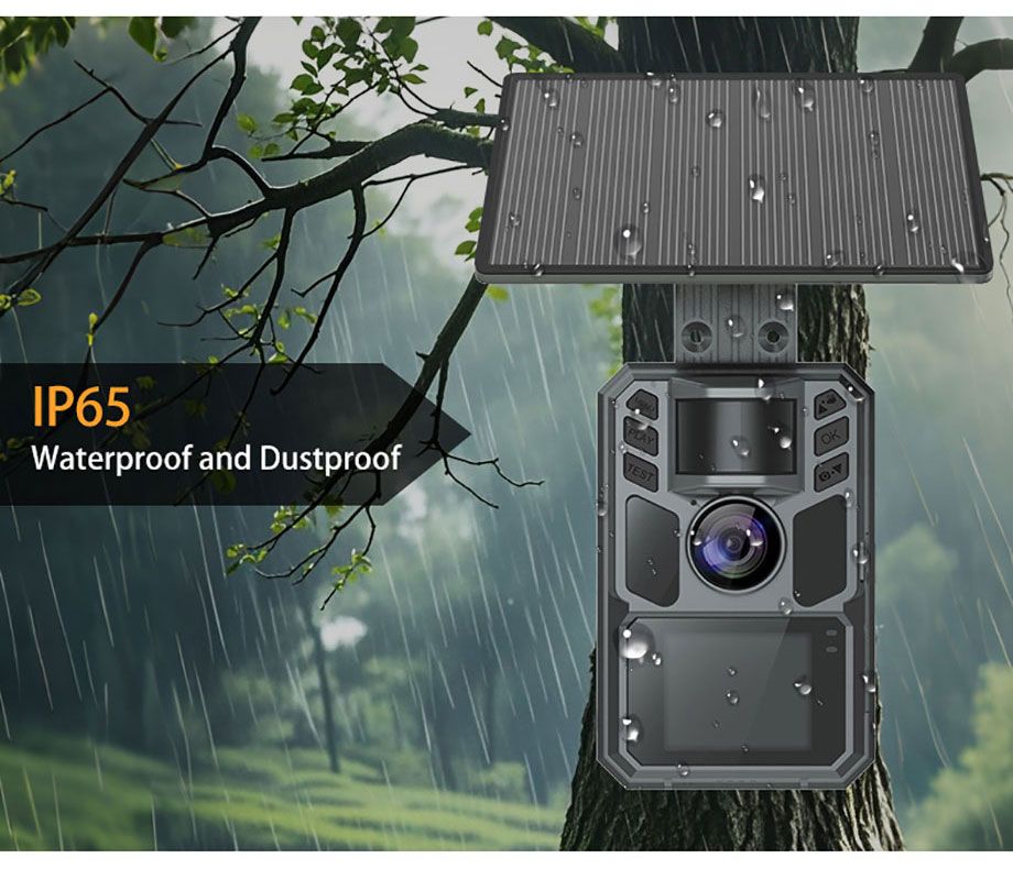 2K 30FPS Video 36MP Outdoor Wildlife 0.4S Triggering MinMax Outdoors product detail image 5