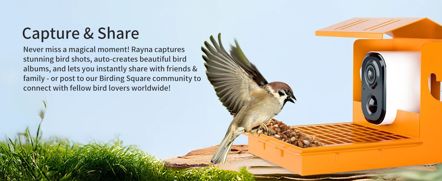 3MP HD Bird Feeder with Camera AI Bird product detail 1