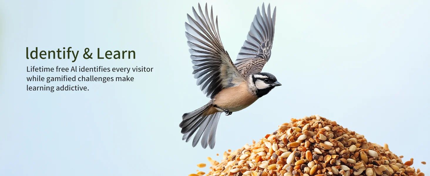 3MP HD Bird Feeder with Camera AI Bird product detail 3