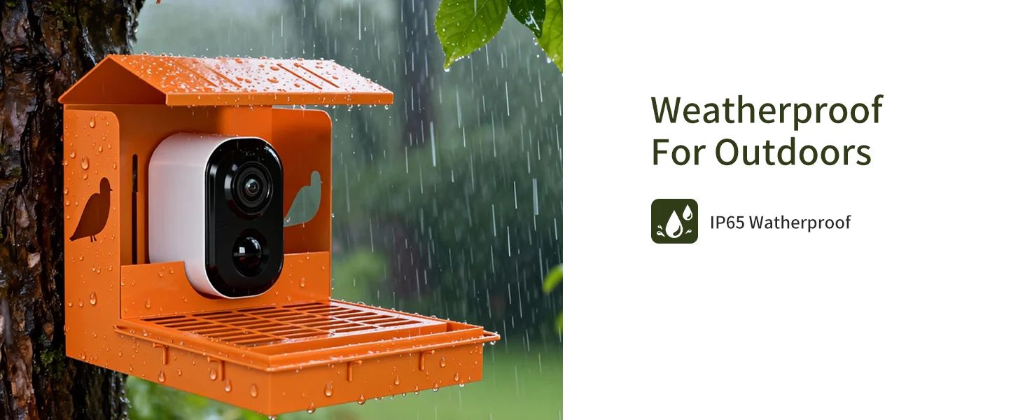 3MP HD Bird Feeder with Camera AI Bird product detail 4