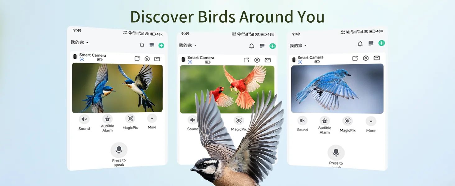 3MP HD Bird Feeder with Camera AI Bird product detail 5