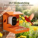 3MP HD Bird Feeder with Camera AI Bird gallery 01