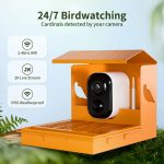 3MP HD Bird Feeder with Camera AI Bird gallery 03