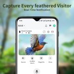 3MP HD Bird Feeder with Camera AI Bird gallery 04