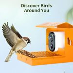 3MP HD Bird Feeder with Camera AI Bird gallery 05