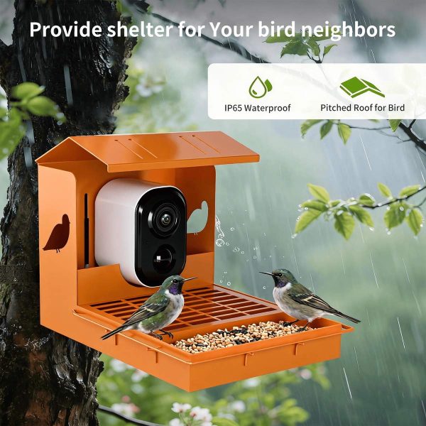 3MP HD Bird Feeder with Camera AI Bird main