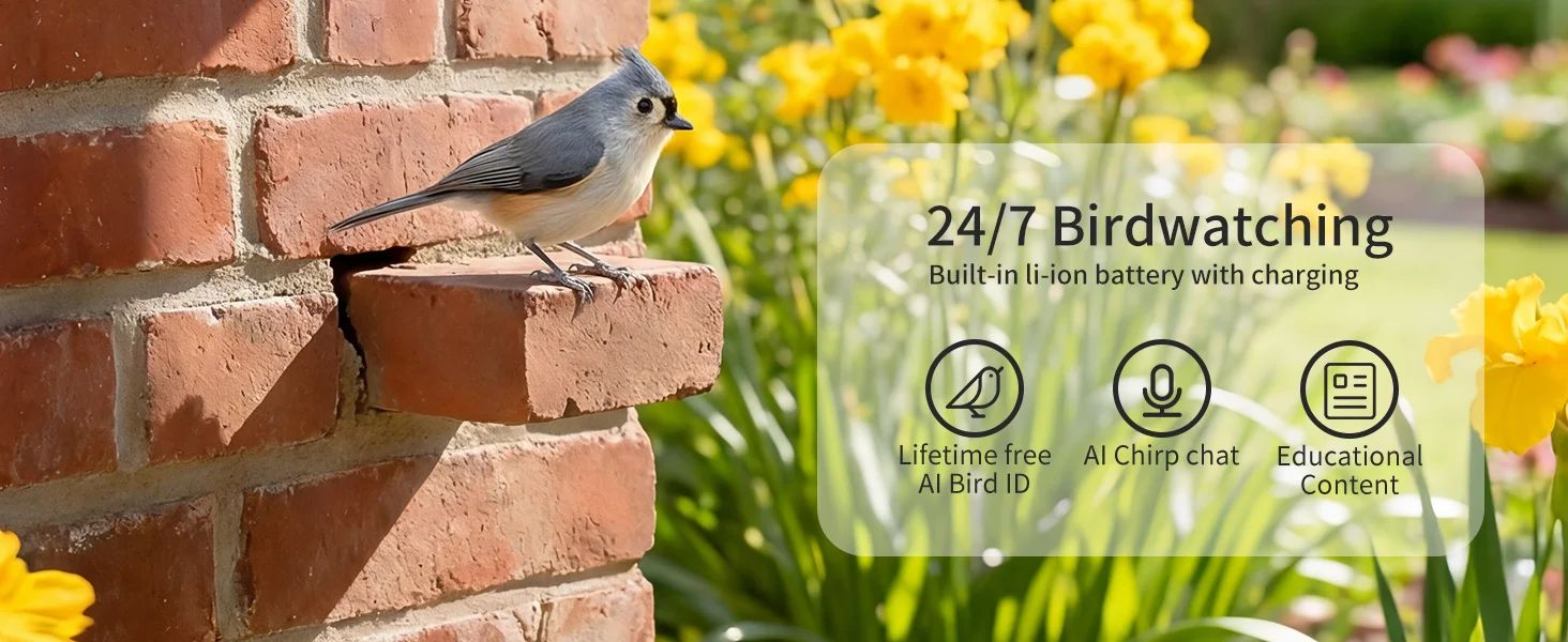 3MP Smart AI Intelligent Automatic Bird Feeder Solar product detail 3