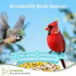 3MP Smart AI Intelligent Automatic Bird Feeder Solar gallery 03