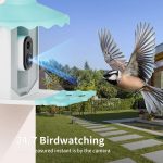 3MP Smart AI Intelligent Automatic Bird Feeder Solar gallery 04