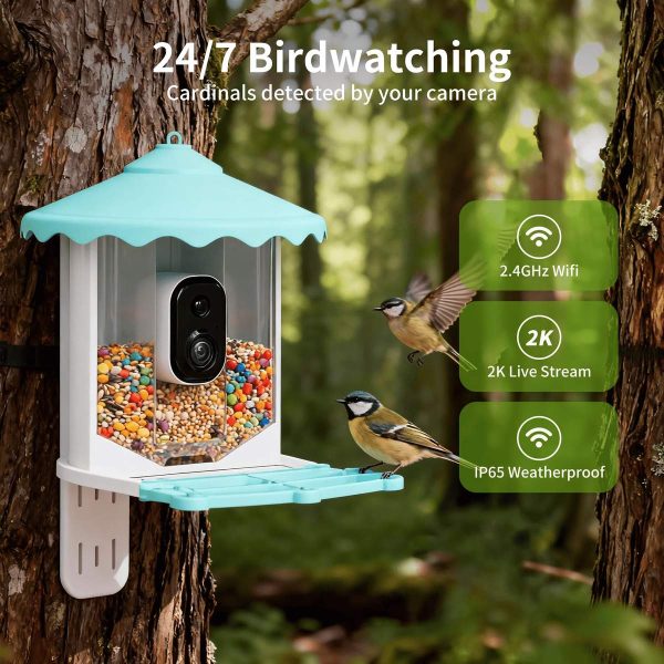3MP Smart AI Intelligent Automatic Bird Feeder Solar main