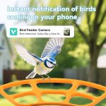 3MP Smart Bird Feeder with Camera Solar Powered gallery 02
