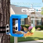 3MP Smart Bird Feeder with Camera Solar Powered gallery 04