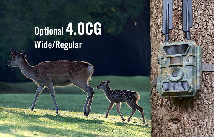4.0 CG 32MP HD Video Customizable 0.2s Ultra-Fast MinMax Outdoors product detail image 3