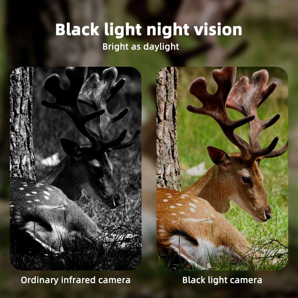 4G Solar Motion Activated Trail Camera 10400mAh 4MP MinMax Outdoors product detail image 3