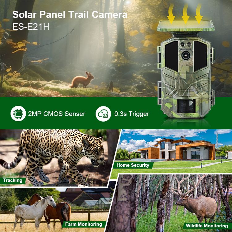 4k 30fps Video Recording Night Vision Distance Thermal MinMax Outdoors product detail image 2