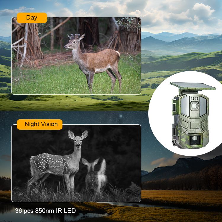 4k 30fps Video Recording Night Vision Distance Thermal MinMax Outdoors product detail image 5