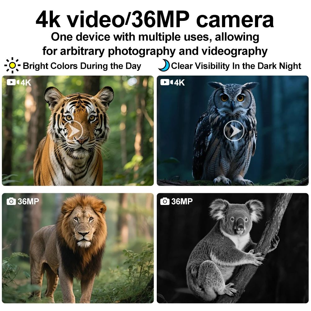 4K 36MP 400m Night IR Night Vision Monocular product detail 5