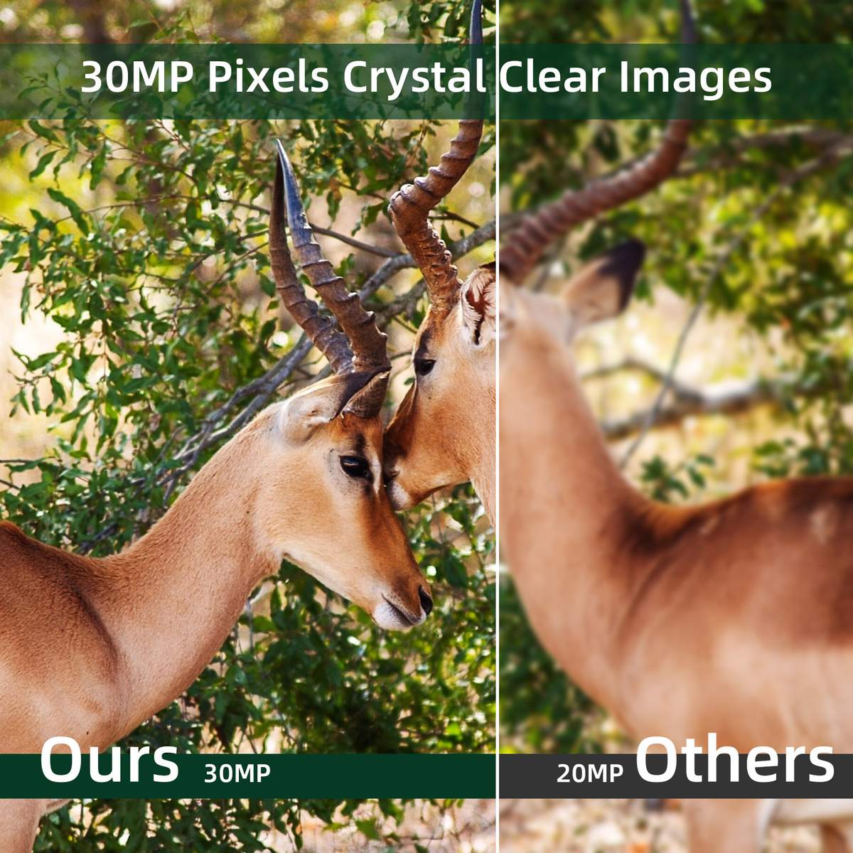 4K FHD Trail Scouting Camera Outdoor Forest Camera Solar Powered Game Hunting Camera HC950A