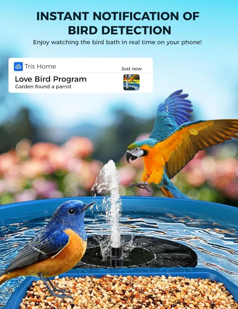 5MP Solar AI Smart Bird Feeder Camera IP65 product detail 4