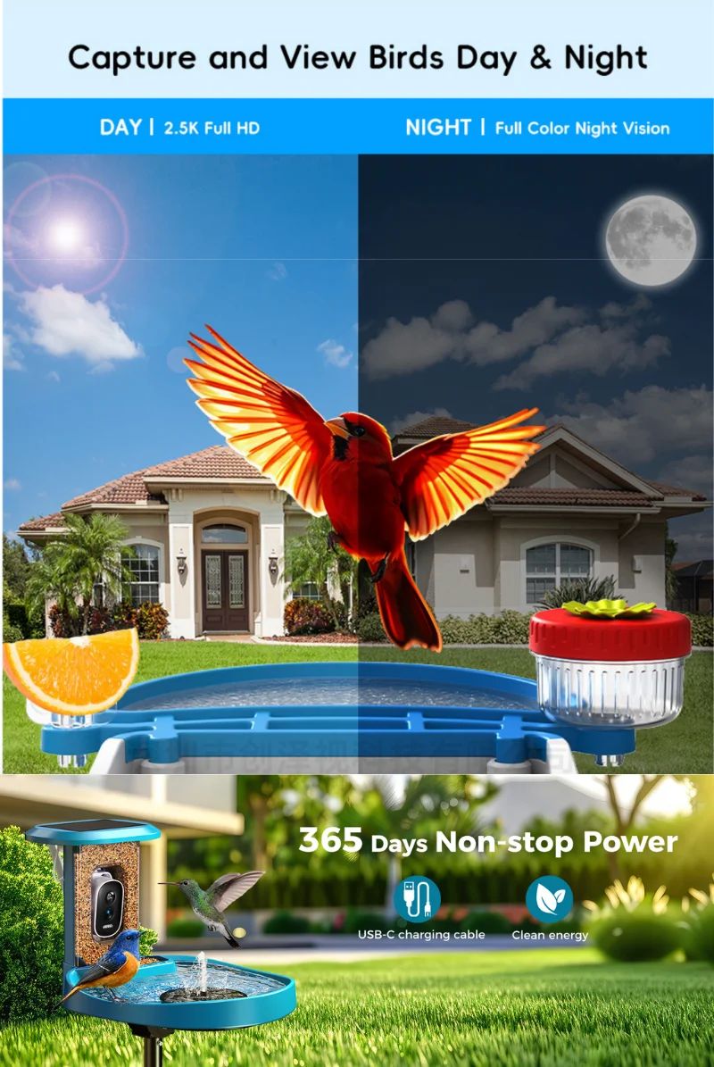 5MP Solar AI Smart Bird Feeder Camera IP65 product detail 6
