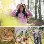 60X60 Binoculars Telescope 10000M Professional Optical Glass gallery 06