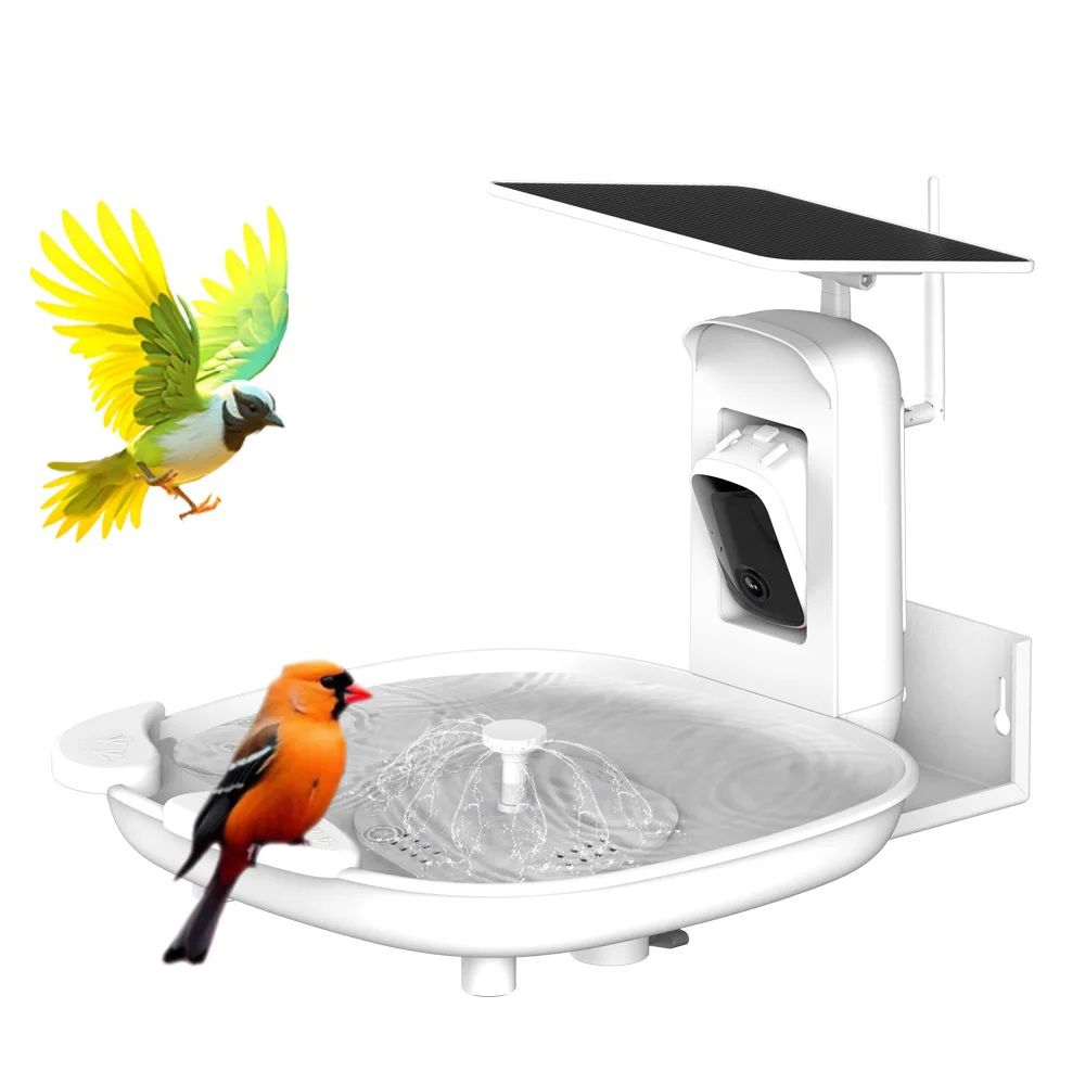 AI Bird Bath 2K Camera Solar-Powered IP66 Waterproof product detail 7