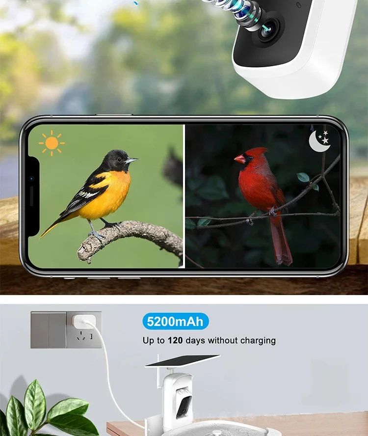 AI Bird Bath 2K Camera Solar-Powered IP66 Waterproof product detail 10
