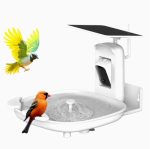 AI Bird Bath 2K Camera Solar-Powered IP66 Waterproof gallery 01