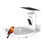 AI Bird Bath 2K Camera Solar-Powered IP66 Waterproof gallery 05