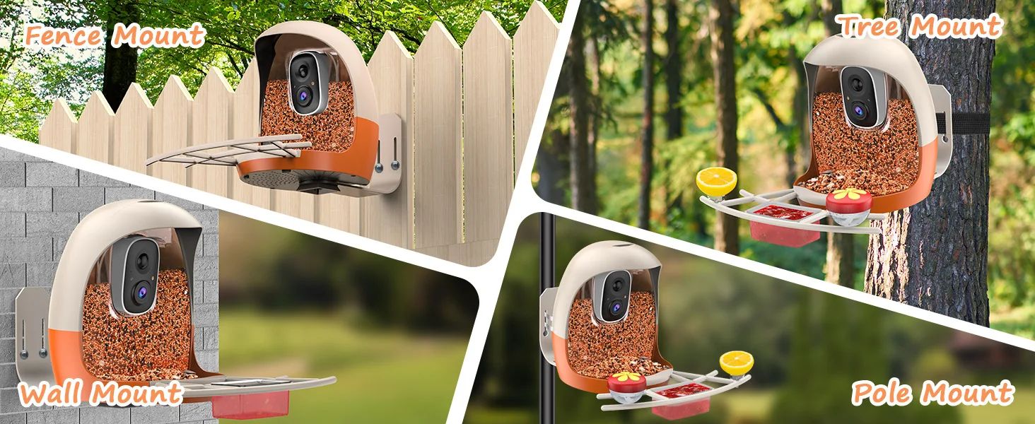 AI Bird Recognition Feeder With Camera Automatic Capture product detail 5