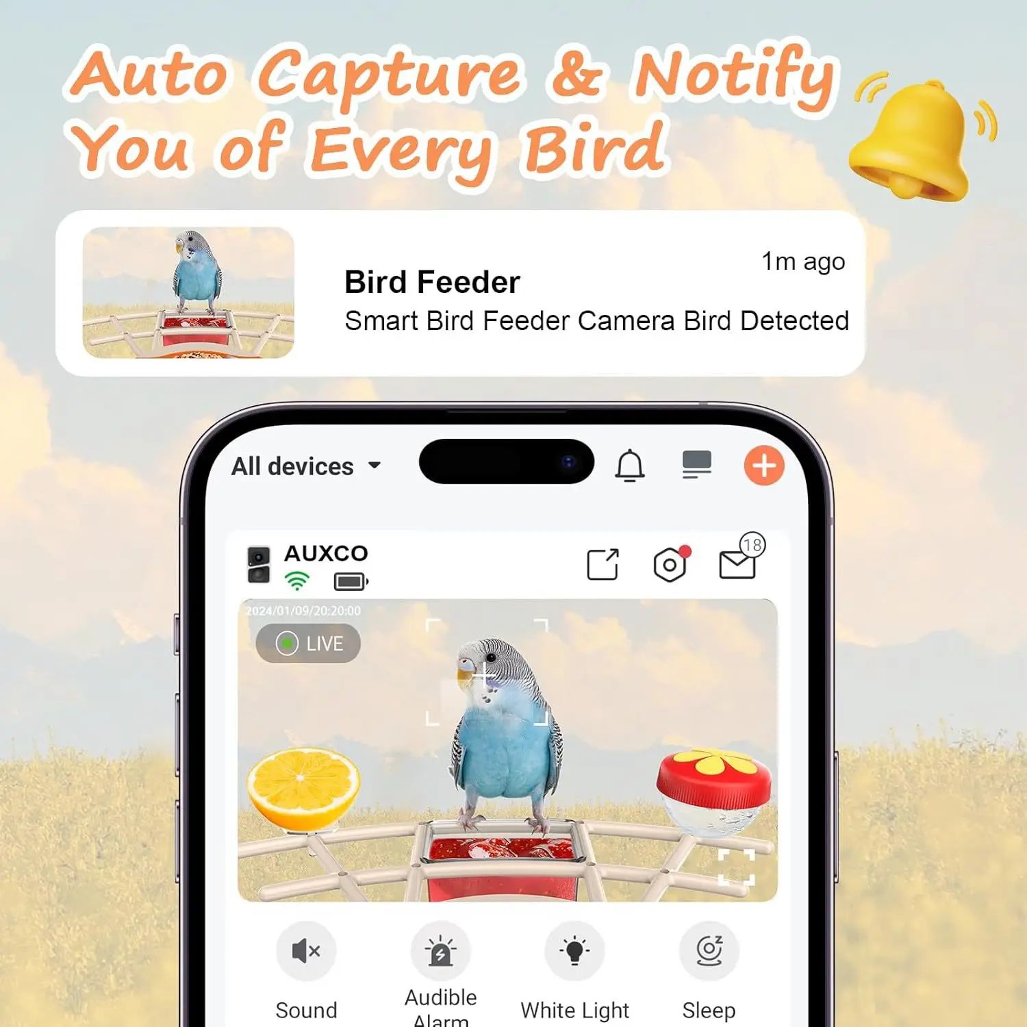 AI Bird Recognition Feeder With Camera Automatic Capture product detail 6