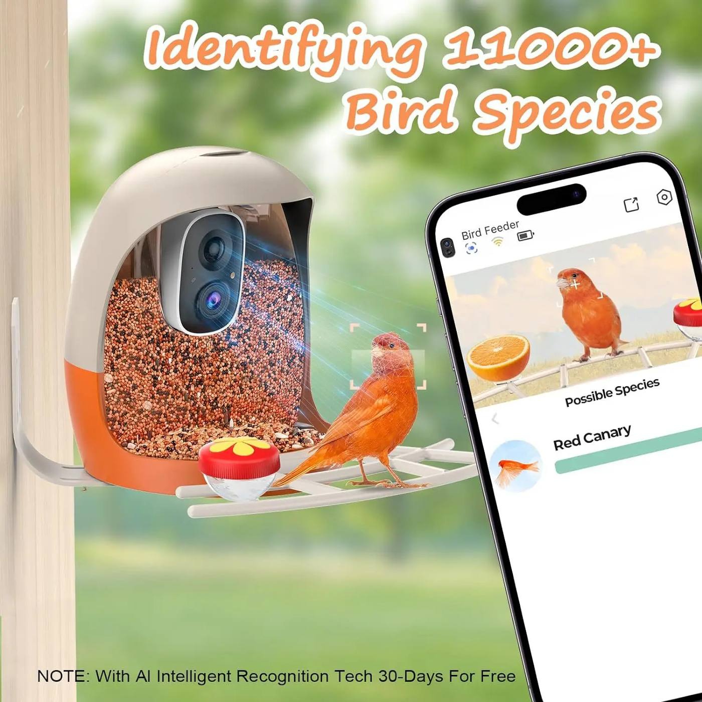 AI Bird Recognition Feeder With Camera Automatic Capture product detail 7