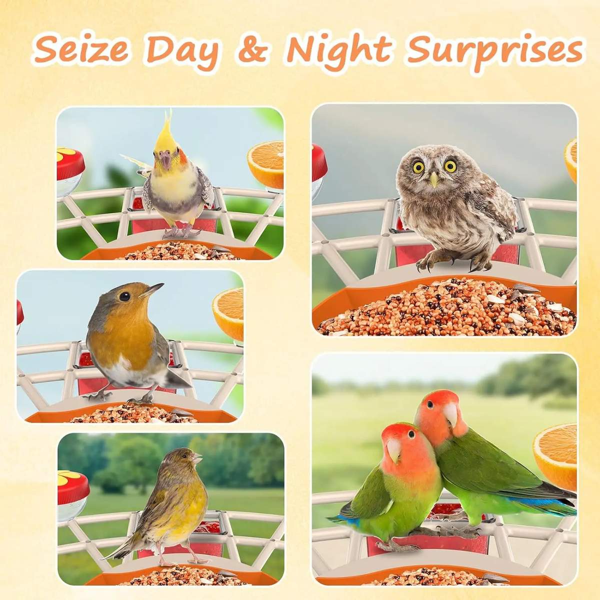 AI Bird Recognition Feeder With Camera Automatic Capture product detail 8