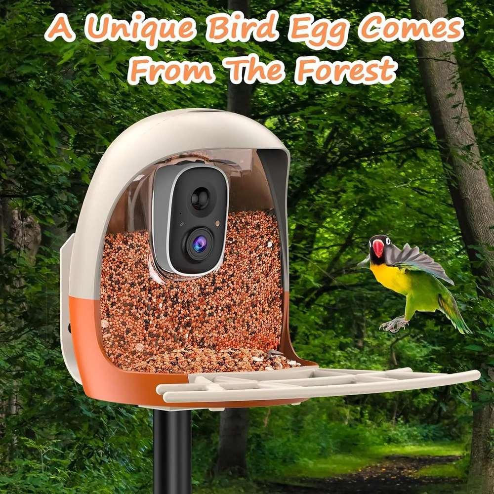 AI Bird Recognition Feeder With Camera Automatic Capture product detail 10