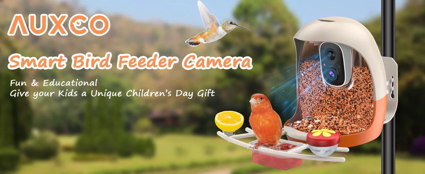 AI Bird Recognition Feeder With Camera Automatic Capture product detail 11