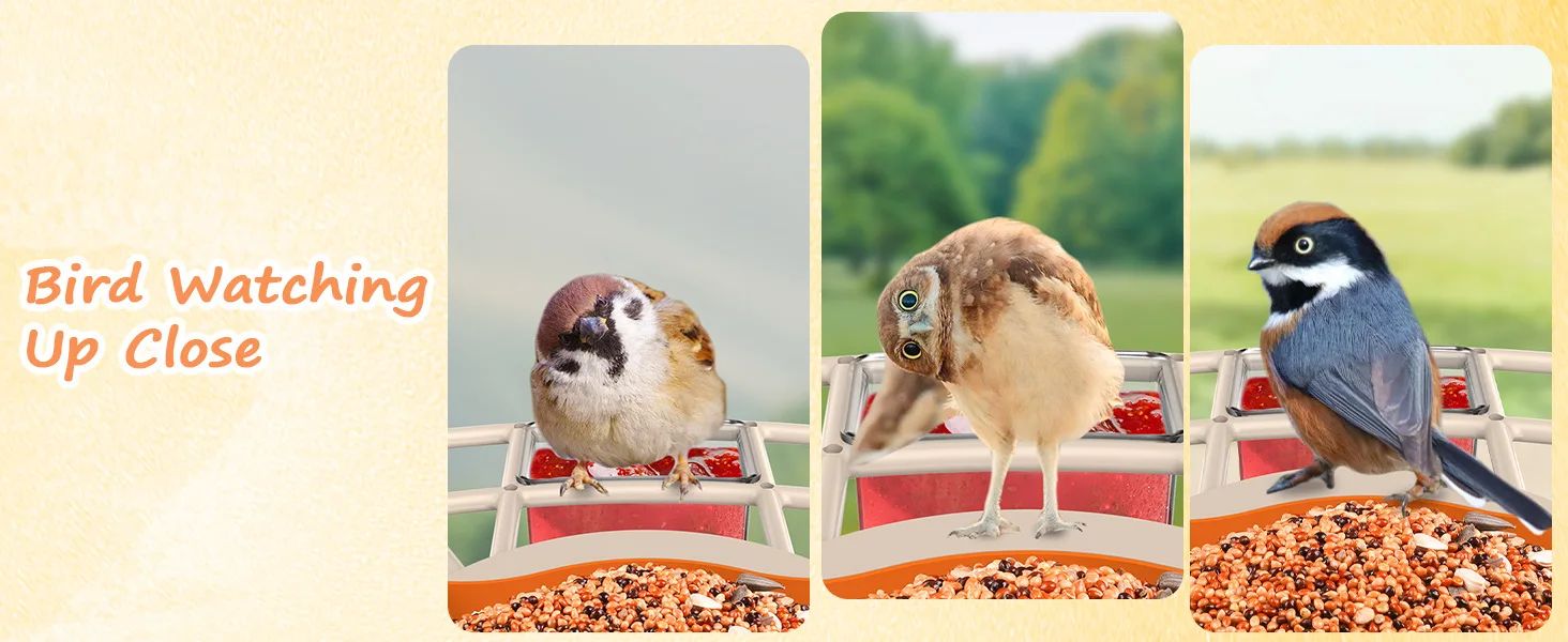 AI Bird Recognition Feeder With Camera Automatic Capture product detail 13