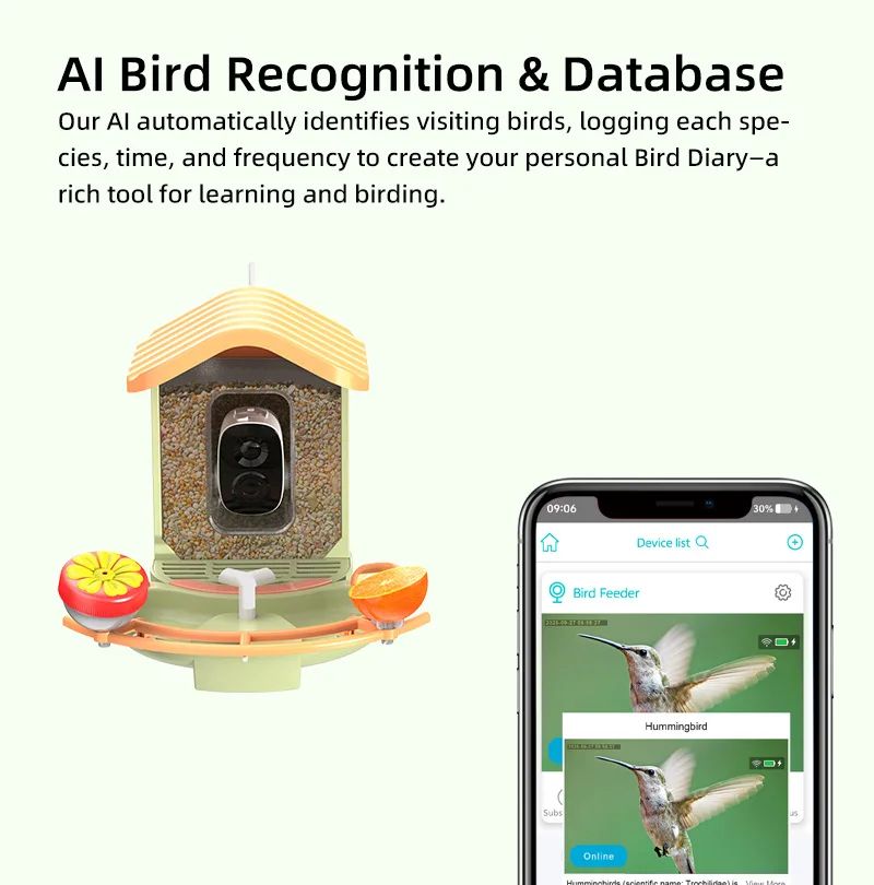 AI Intelligent Wood Eco-Friendly Pet Bird Feeder Drinking product detail 2