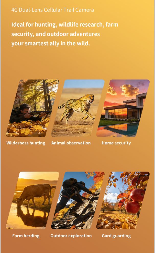 AI Motion Detection 4G LTE Wireless Dual-lens CMOS MinMax Outdoors product detail image 9