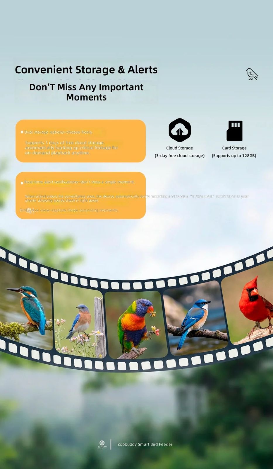 AI Powered Smart Bird Feeder 4K HD Camera product detail 3