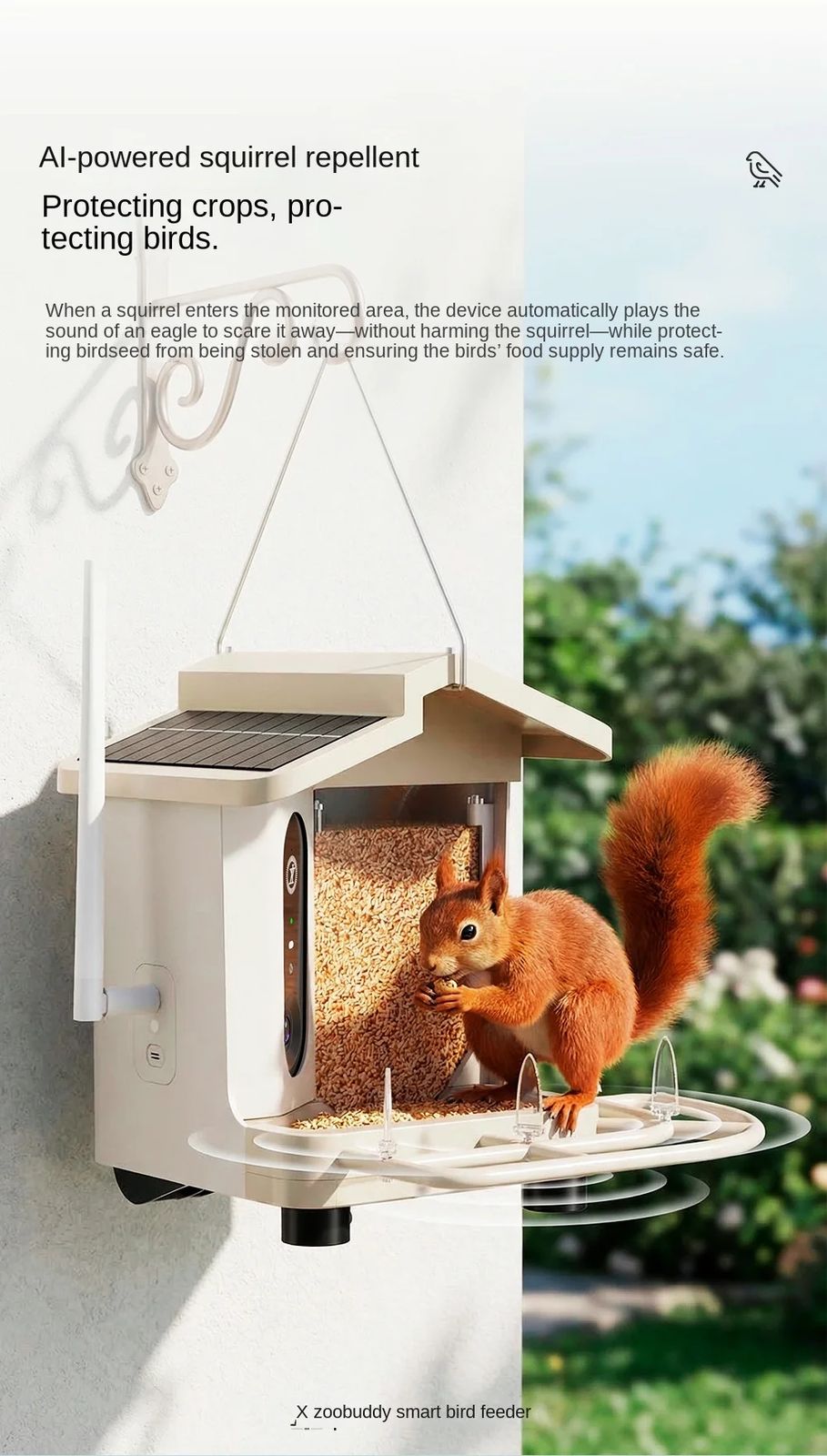 AI Powered Smart Bird Feeder 4K HD Camera product detail 4