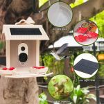 AI Recognition Bird Feeder Solar Energy Saving Low gallery 04