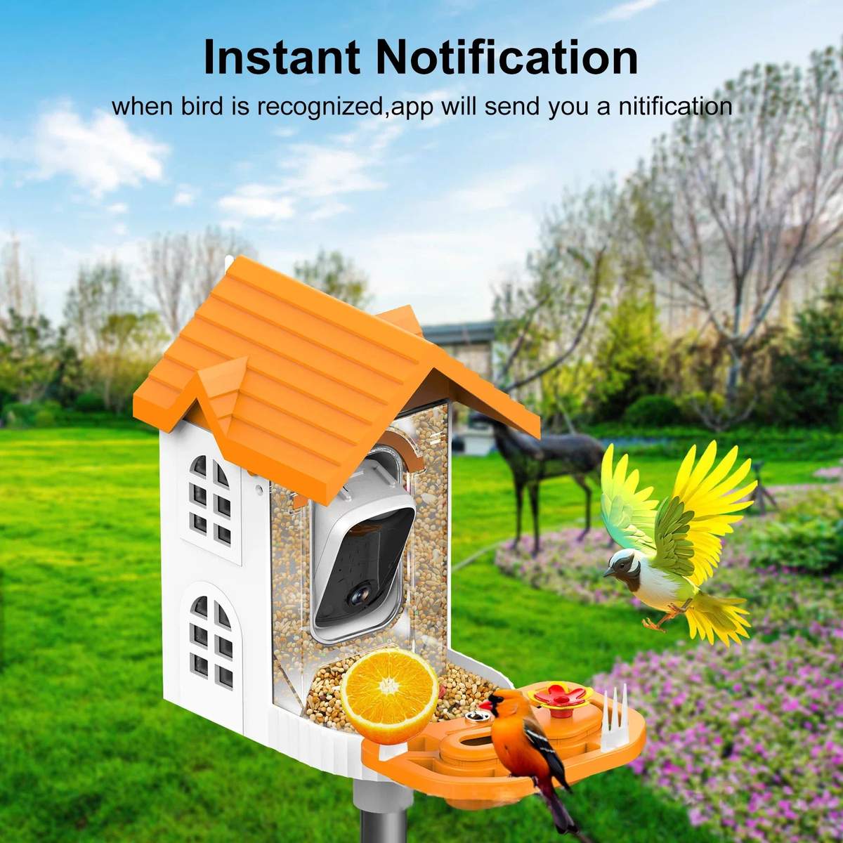 AI Smart Bird Feeder Camera 3MP 2304x1296 Video product detail 3